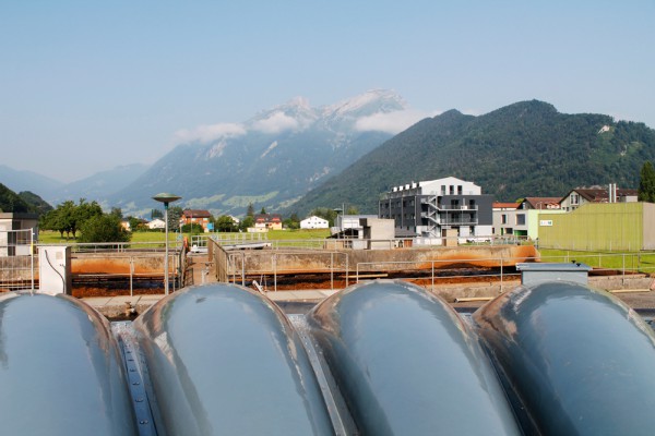 ara-rotzwinkel-2