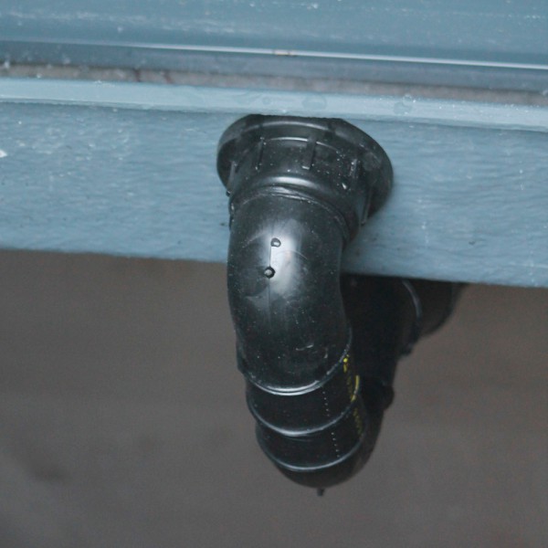 ara-rotzwinkel-detail-9